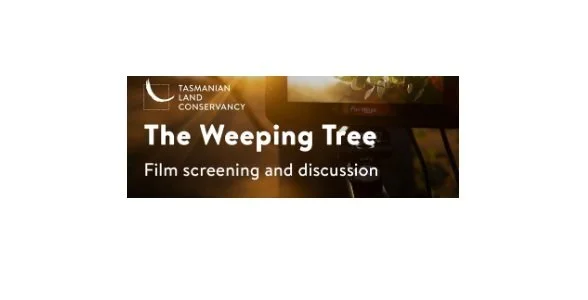 The Weeping Tree - This event is sold out
