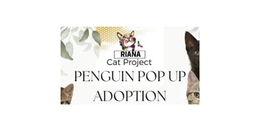 Penguin Pop Up Adoption