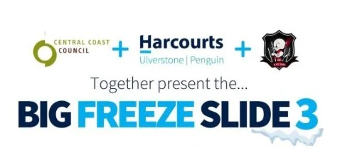 Big Freeze Slide 3 @ Ulverstone Water Slide