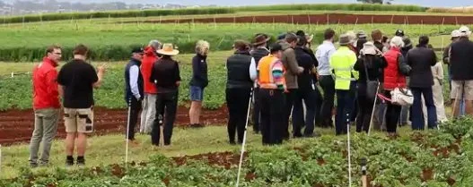 Forthside Vegetable Research Facility Field Day