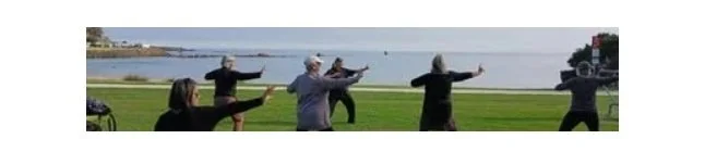 Penguin Community Qigong