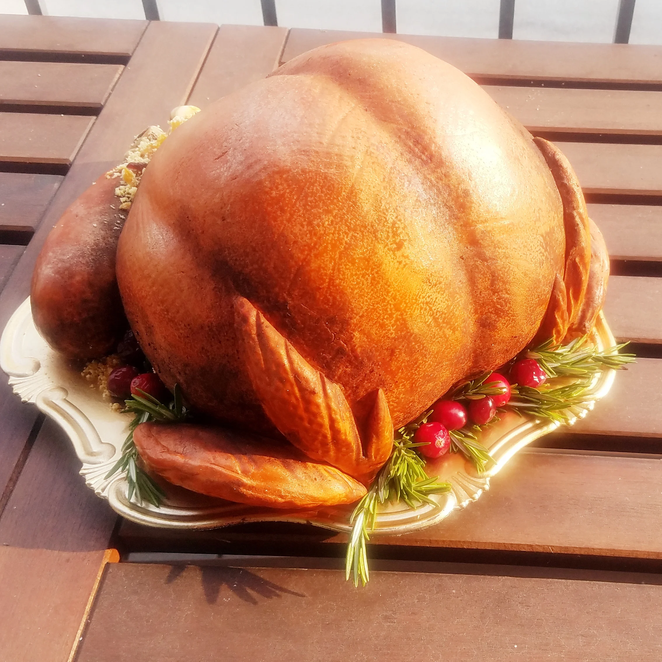 20181116_122620.jpg