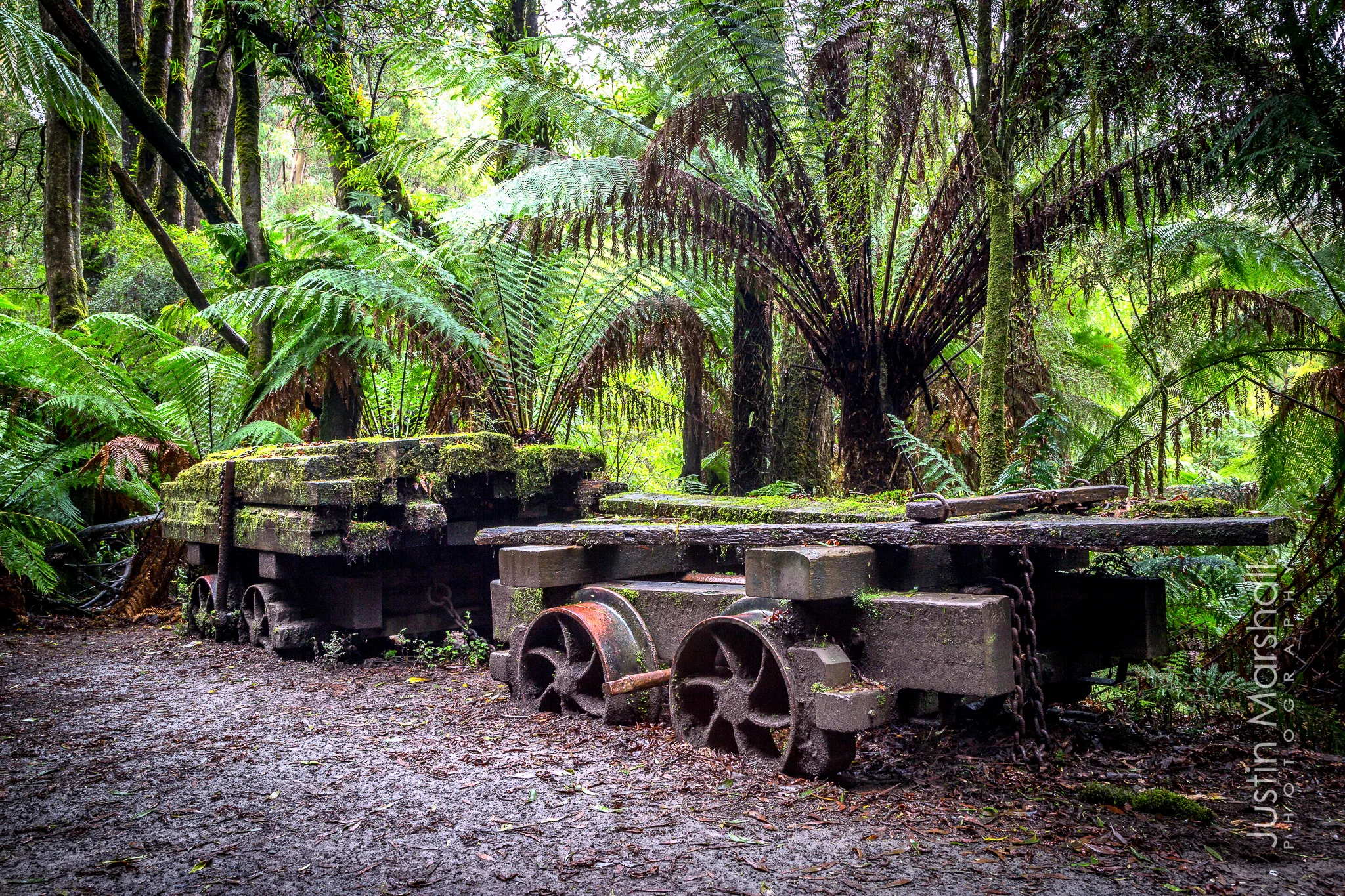 Otways-20130604-475-Edit.jpg