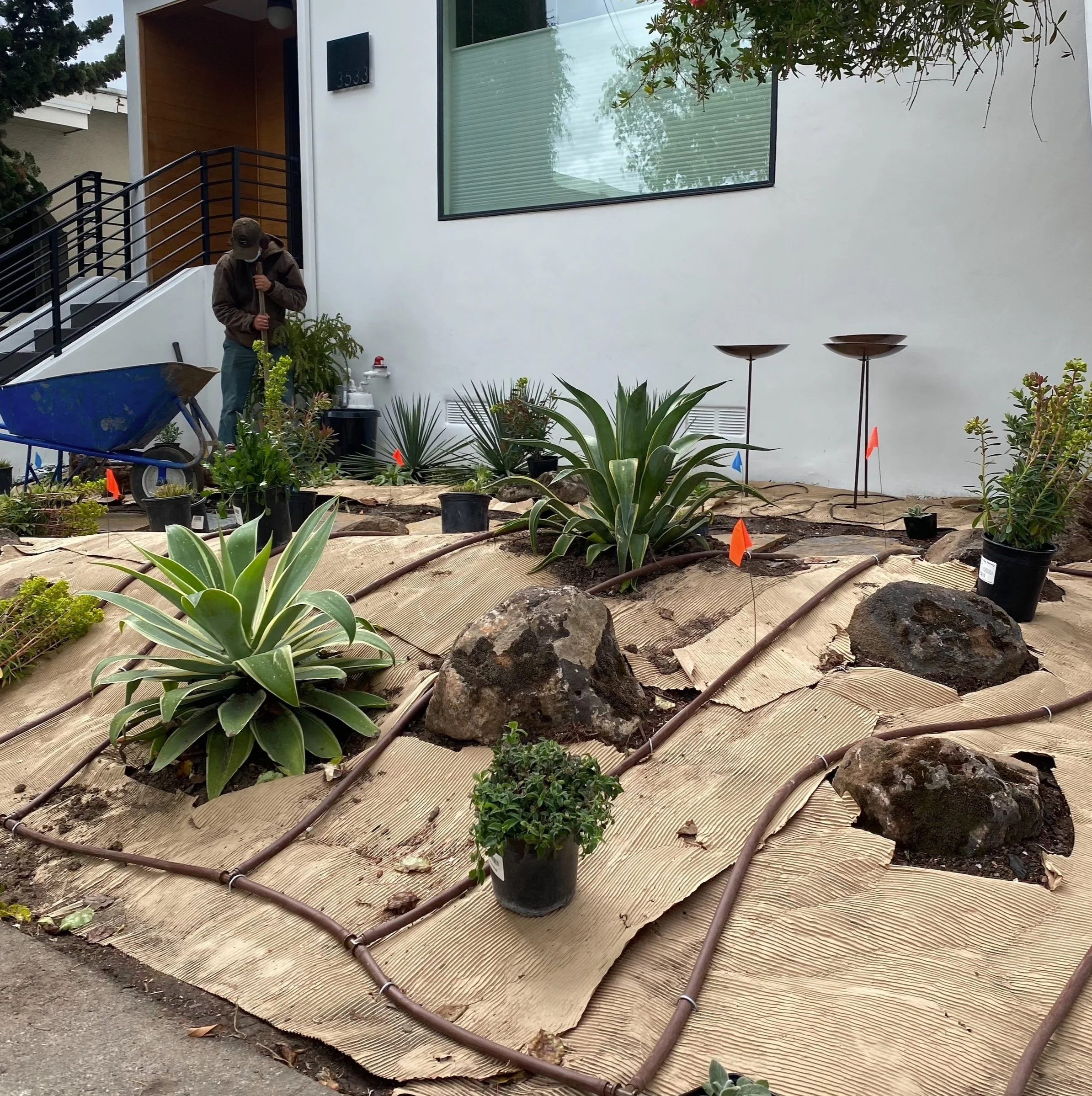 Terra Gardens Bay Area Modern Landscape Design + Build