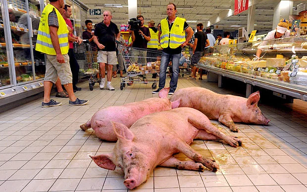French farmers release big fuck-off pigs into a supermarket