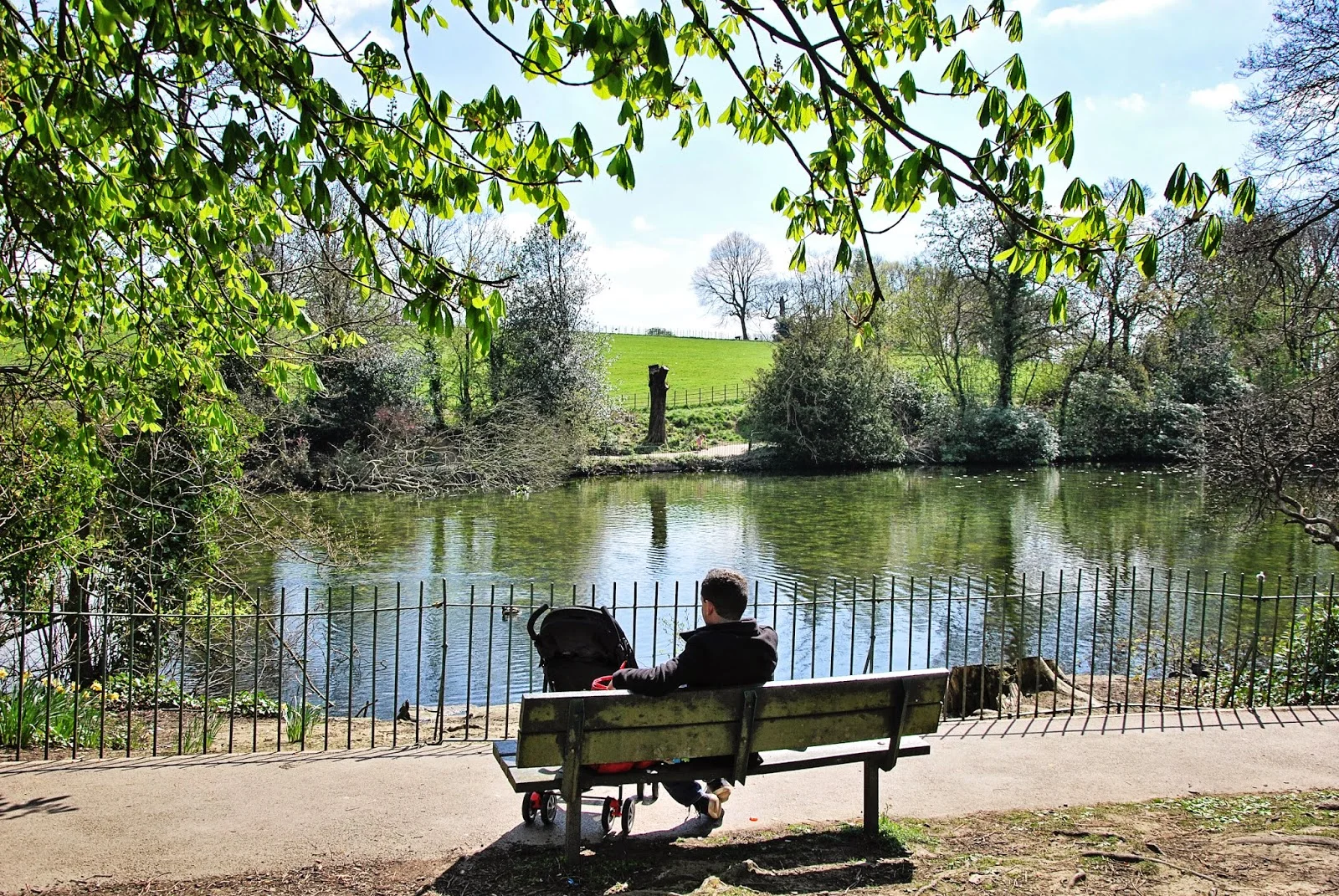 graves park.jpg