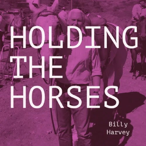 horses 2.jpg