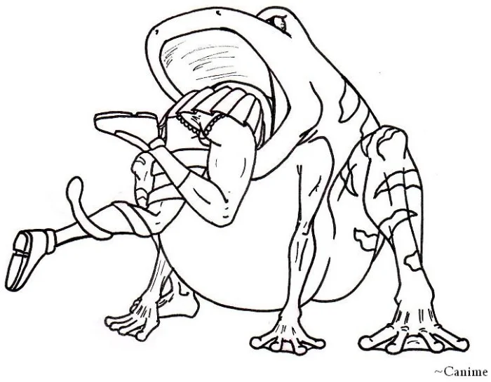 image15.jpg