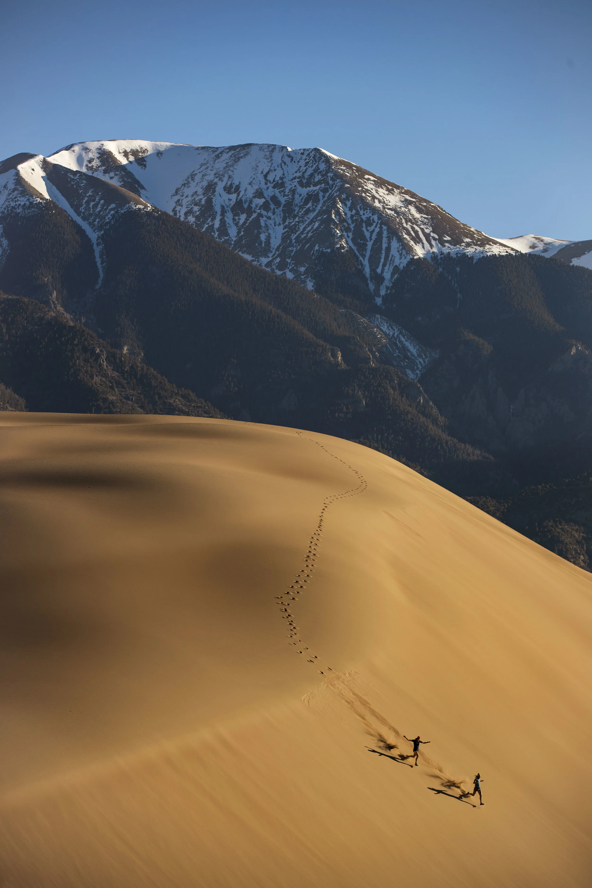 Sanddunes_05042017_0077.jpg