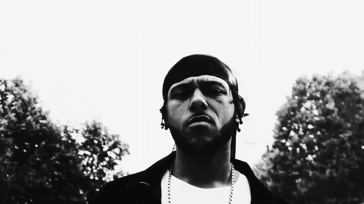 BEHAVIOURS - TAX-high 2.gif