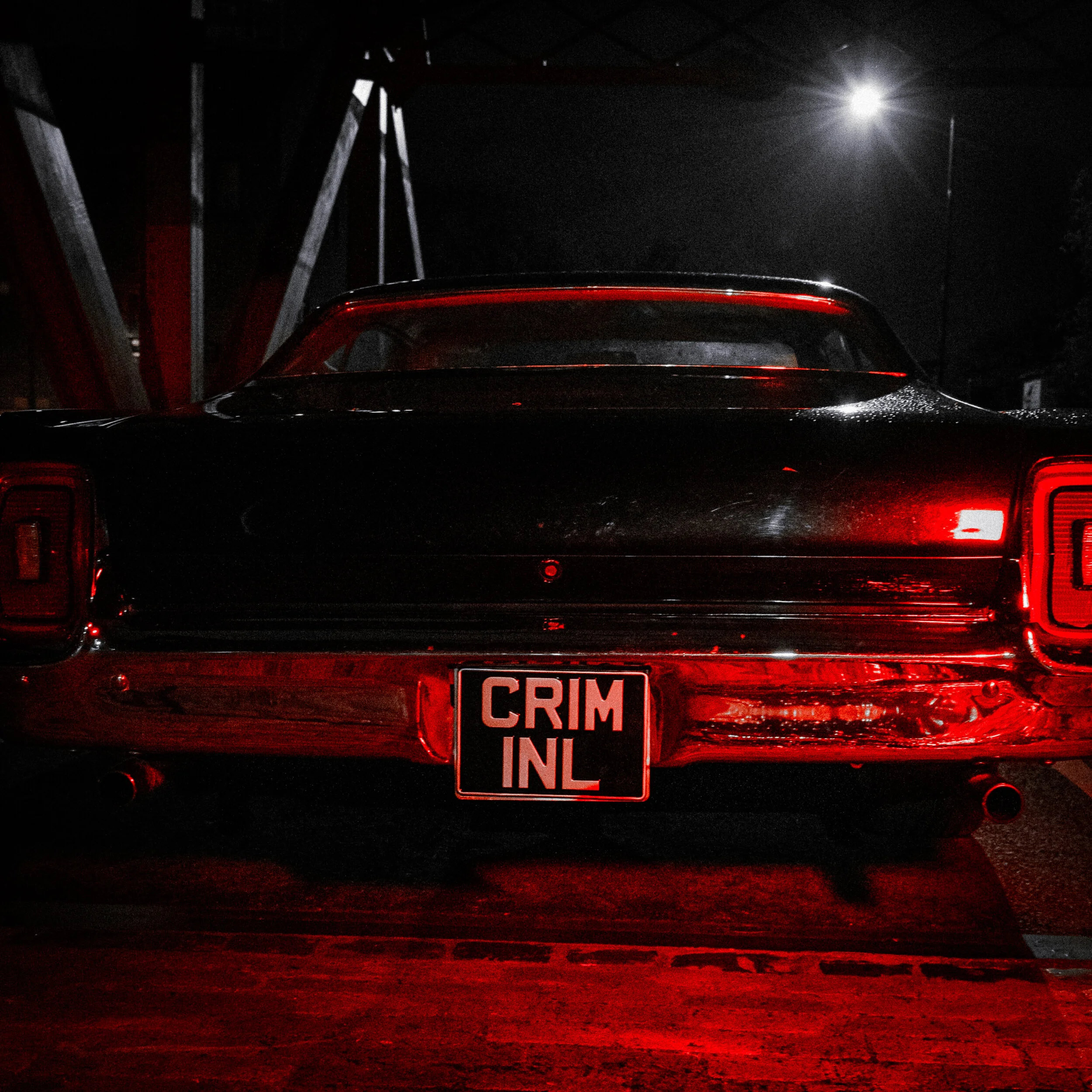 LISEY CRMNL (27 of 88).jpg