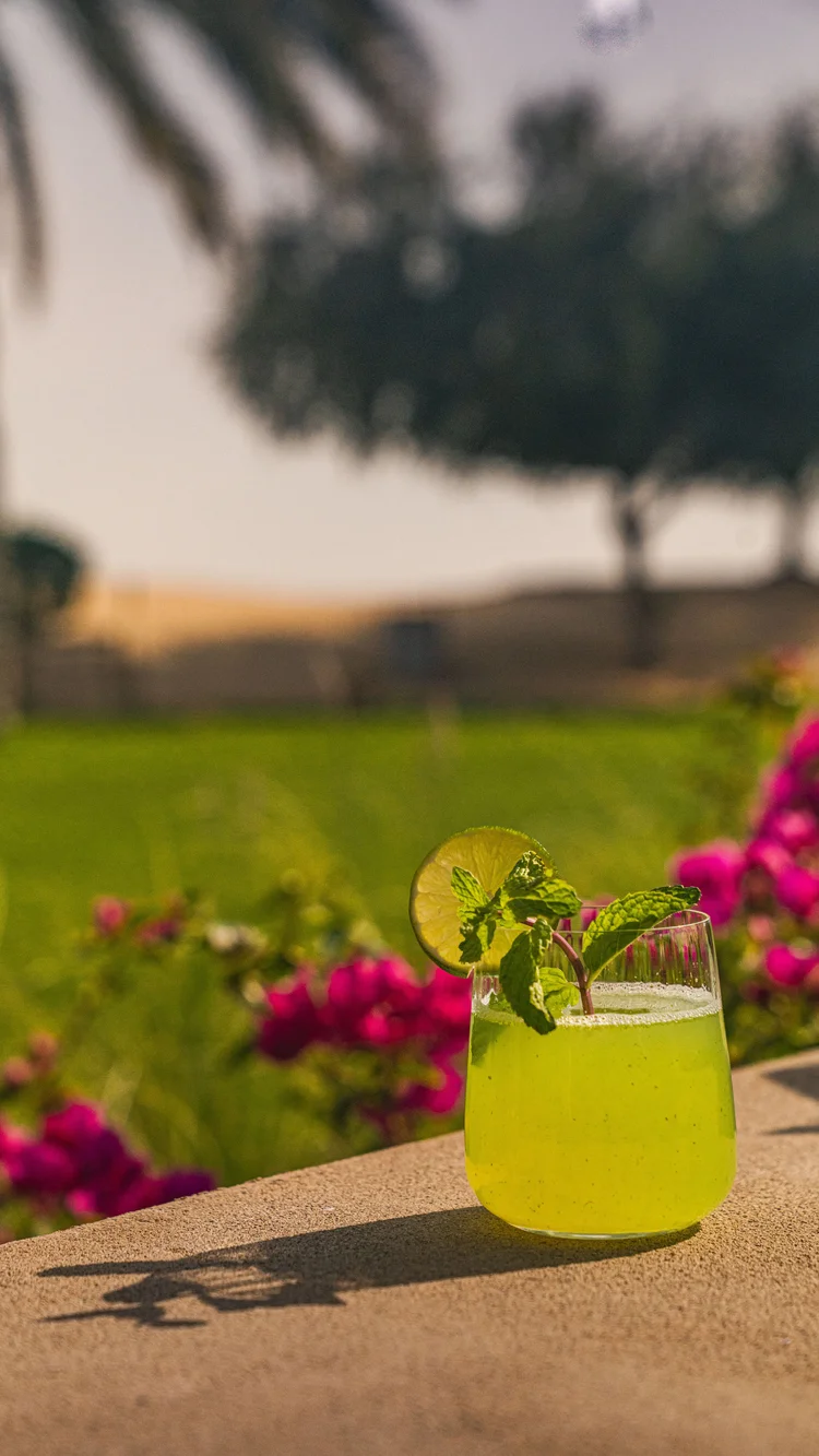 Bab Al Shams 41