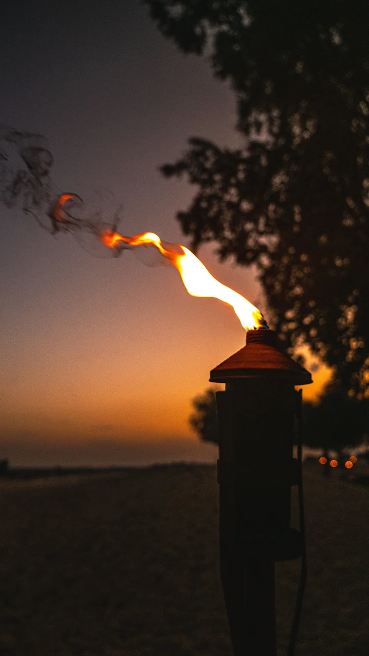 Bab Al Shams 67