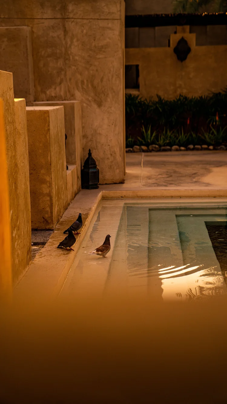 Bab Al Shams 143