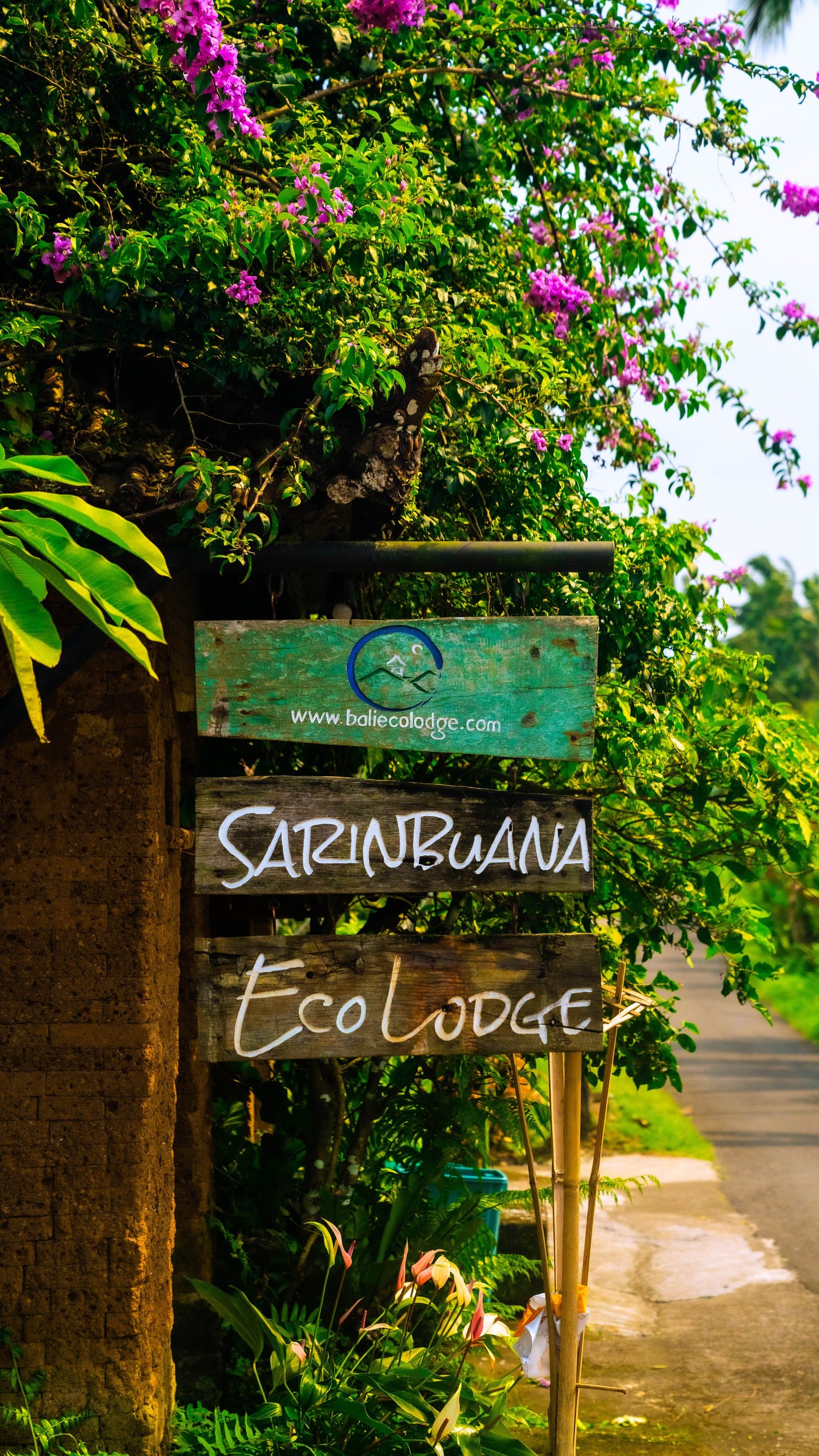 Eco lodge hero