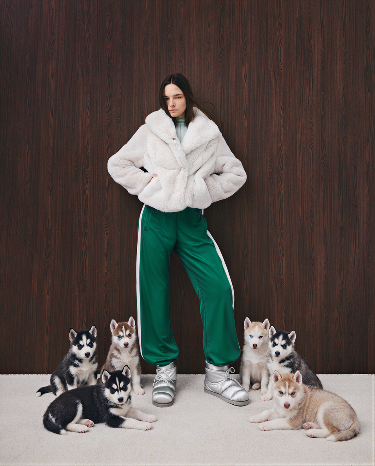 C&K AI — huskies