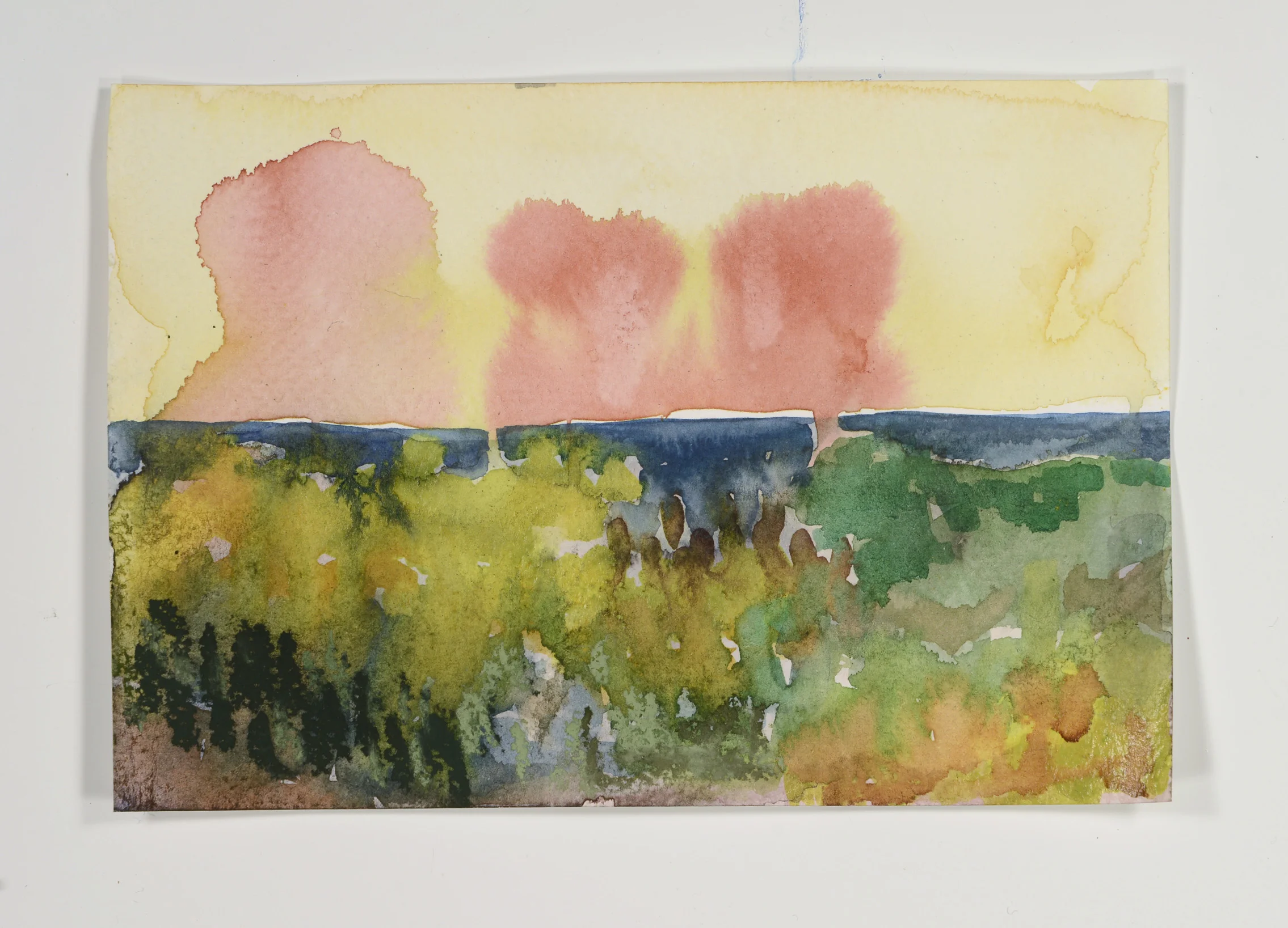 "Och skogsblommorna kledte marken" #5