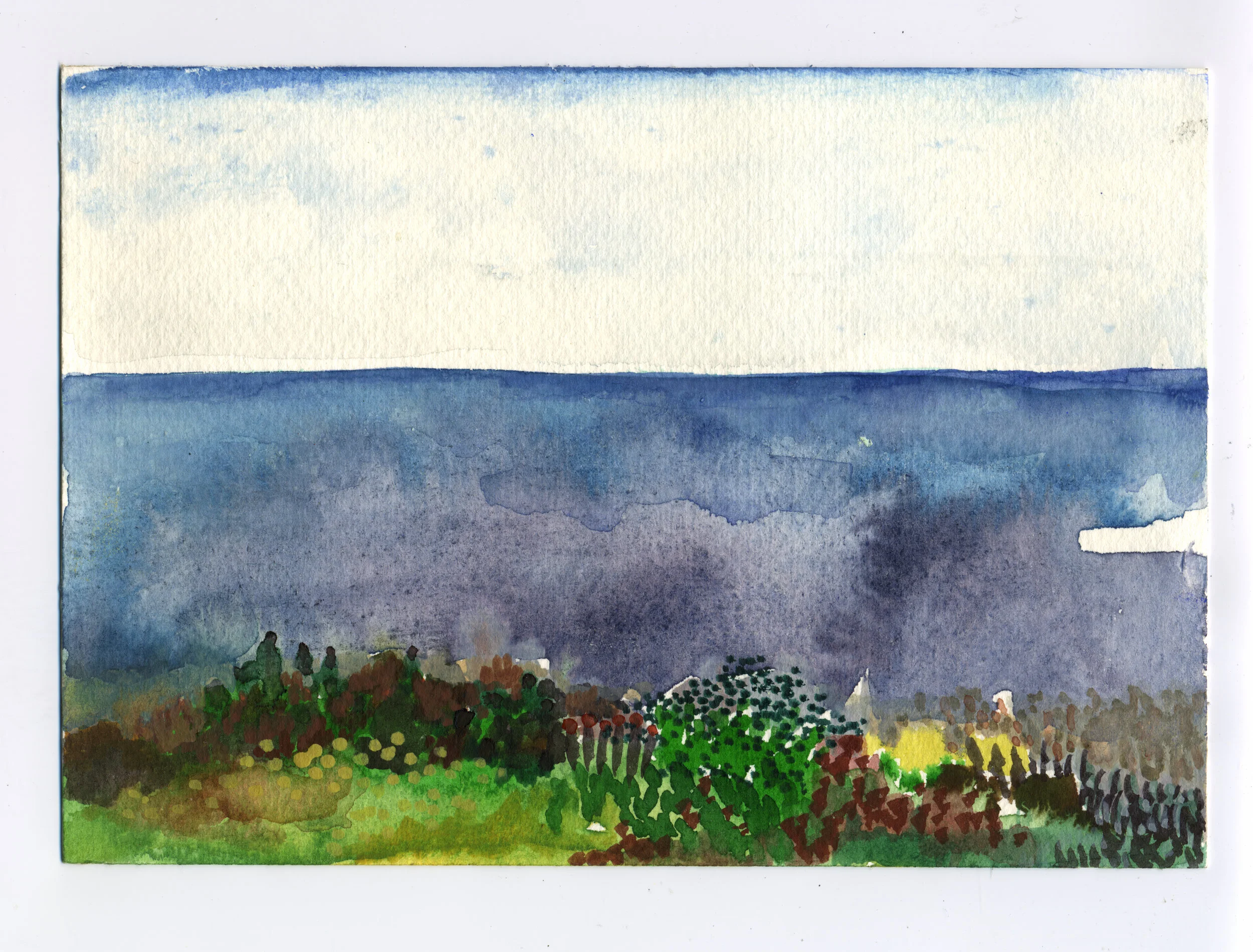 "Och skogsblommorna kledte marken" #15