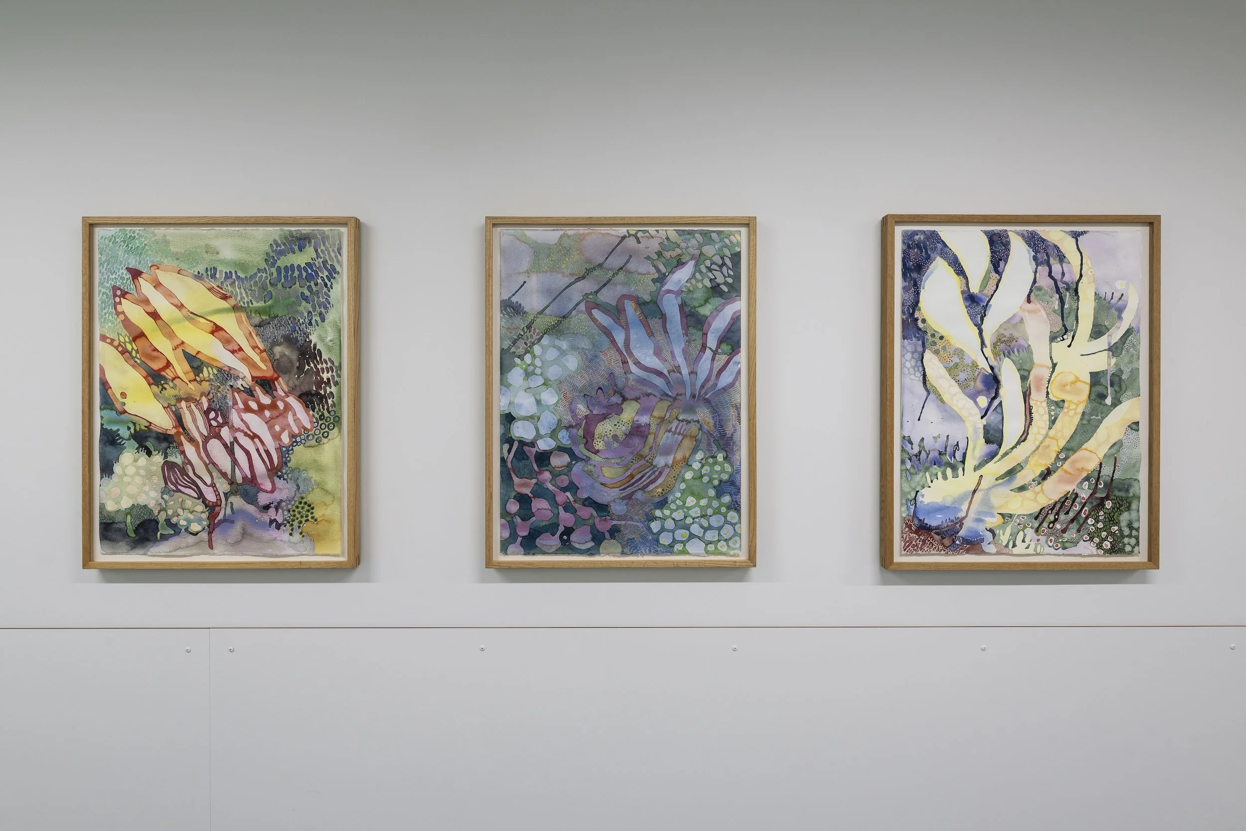 Mellomstor Stavanger Universitets Sykehus foto Thor Brødreskift_139-kopi.jpeg