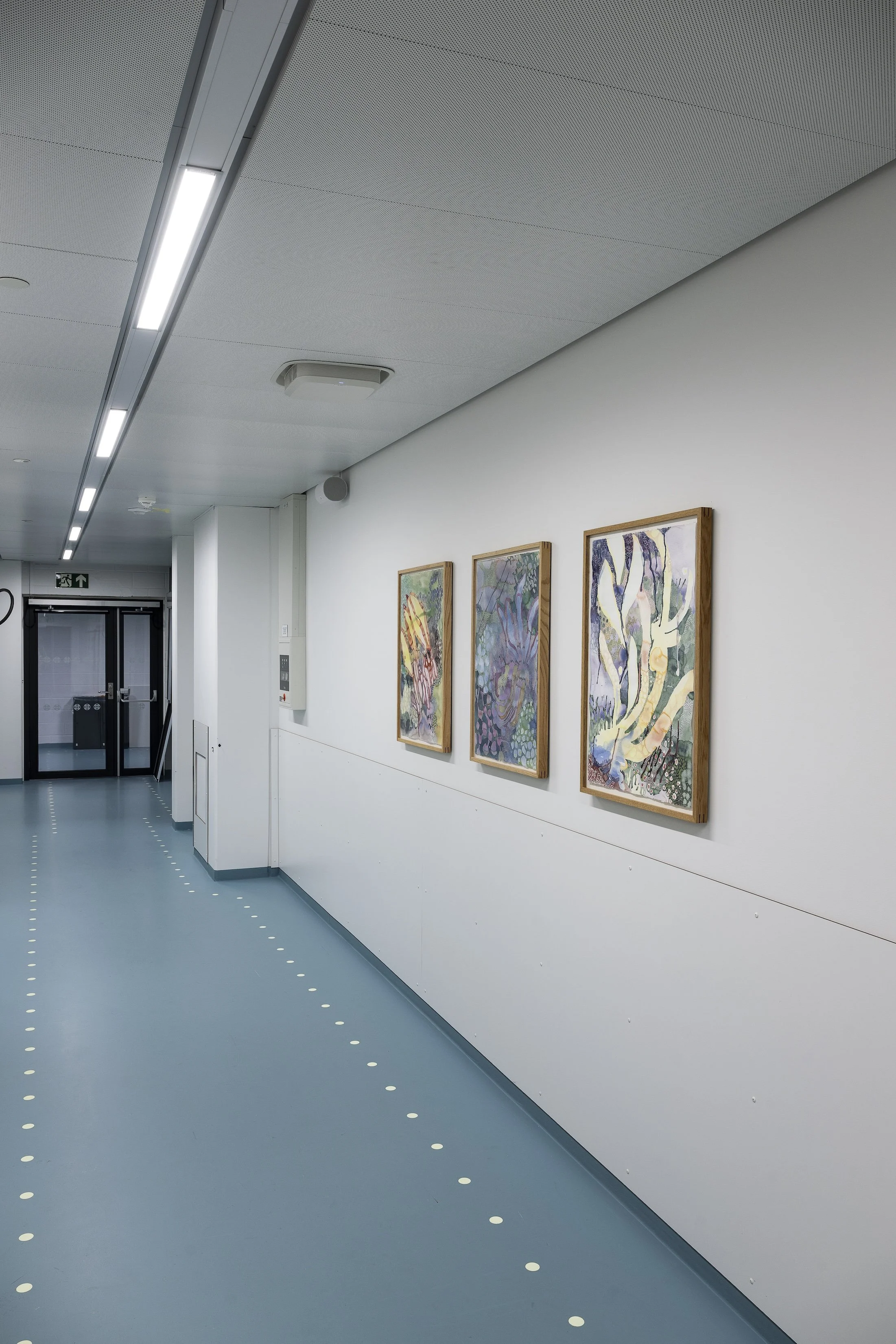 Mellomstor Stavanger Universitets Sykehus foto Thor Brødreskift_140-kopi.jpeg