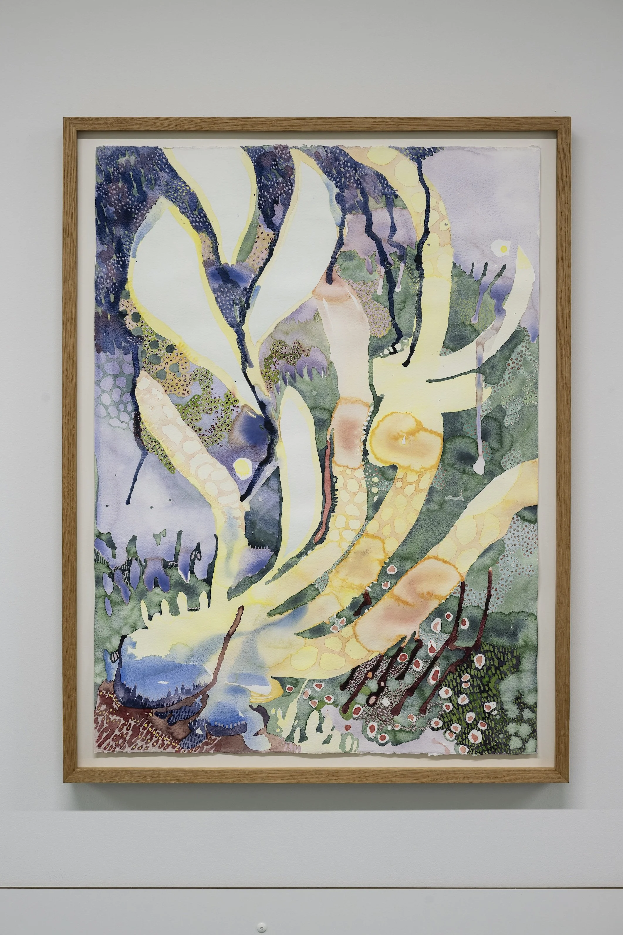 Mellomstor Stavanger Universitets Sykehus foto Thor Brødreskift_141-kopi.jpeg