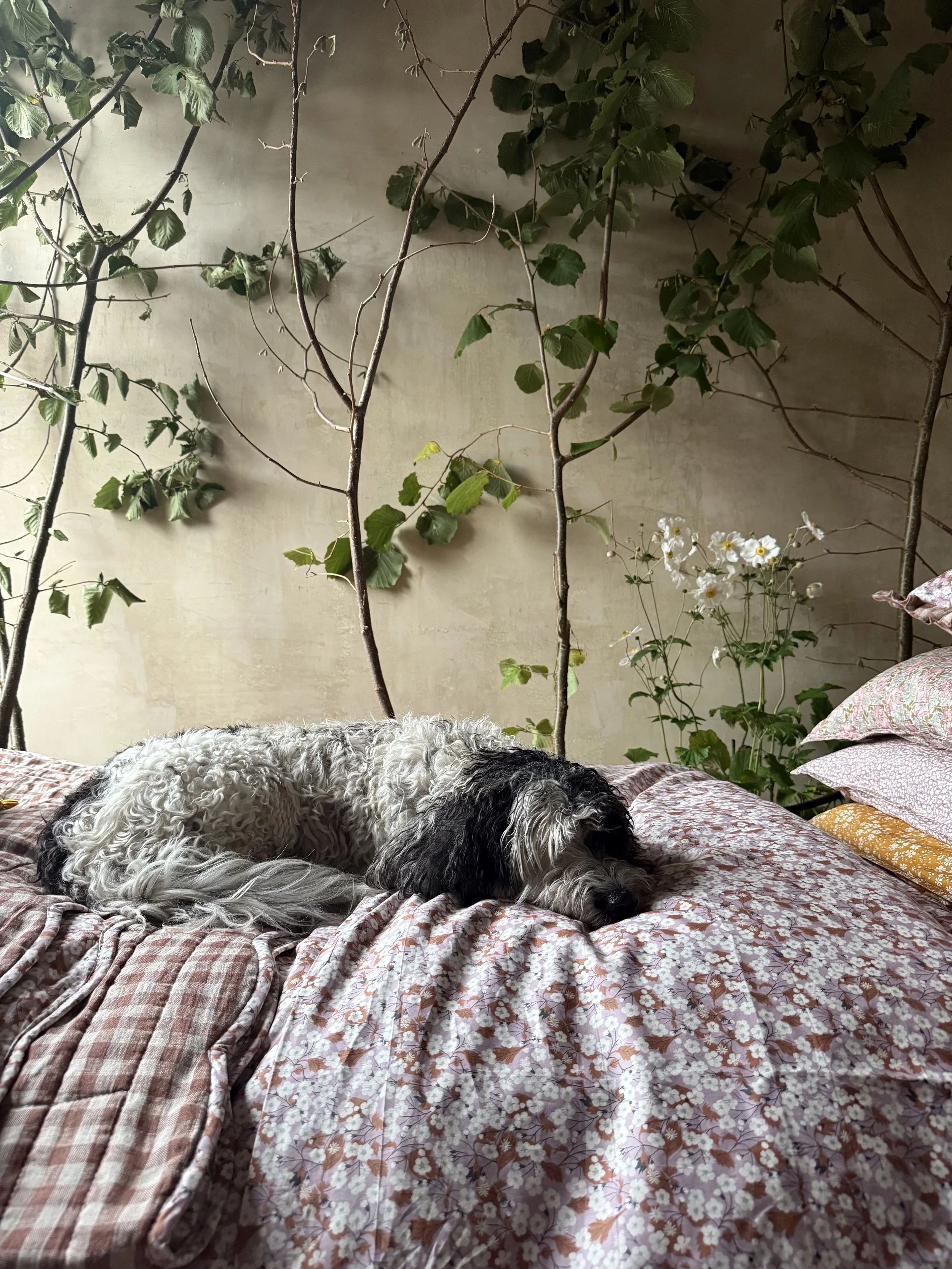 mitsicloseup.jpeg (Copy)