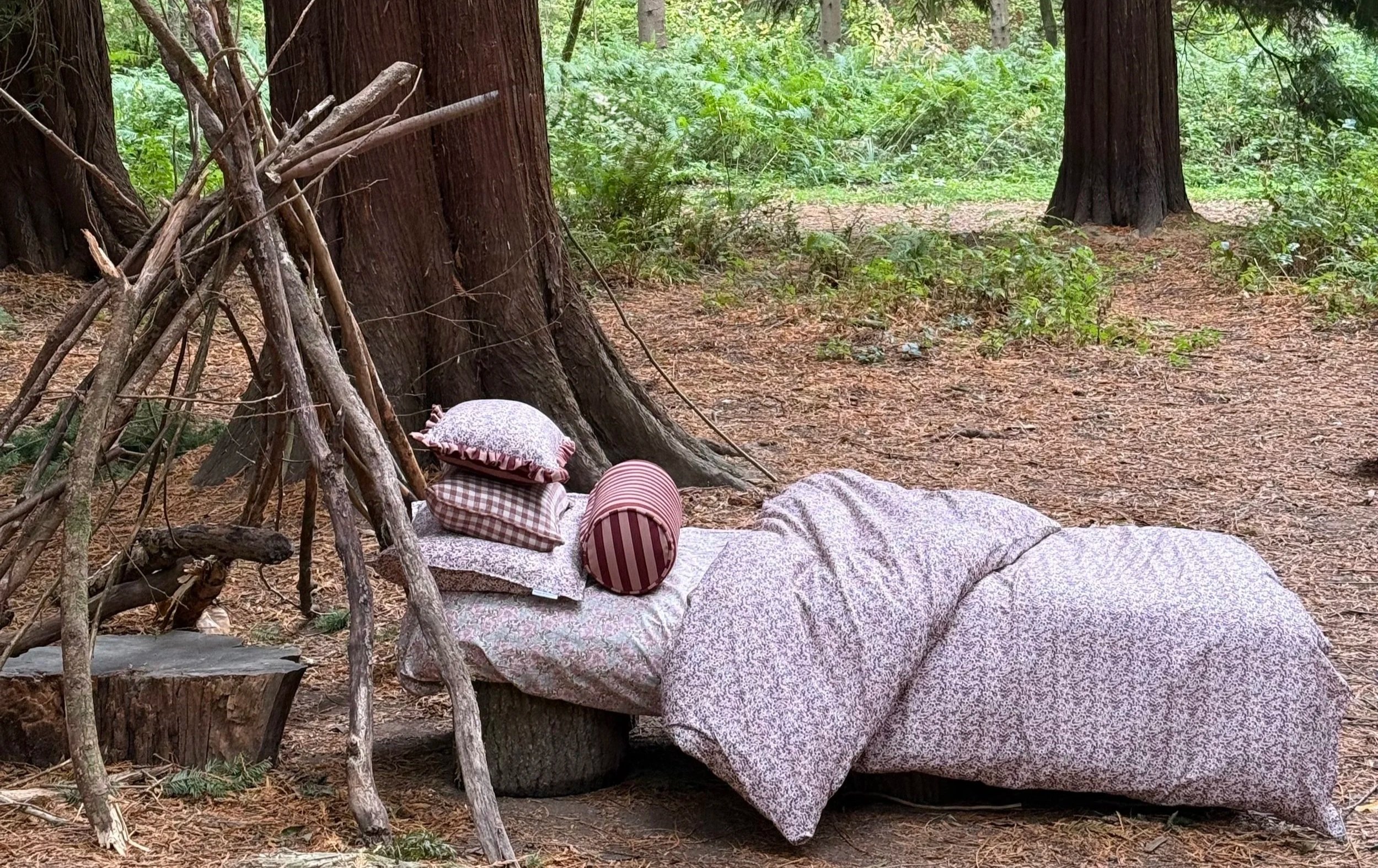 woods.jpg