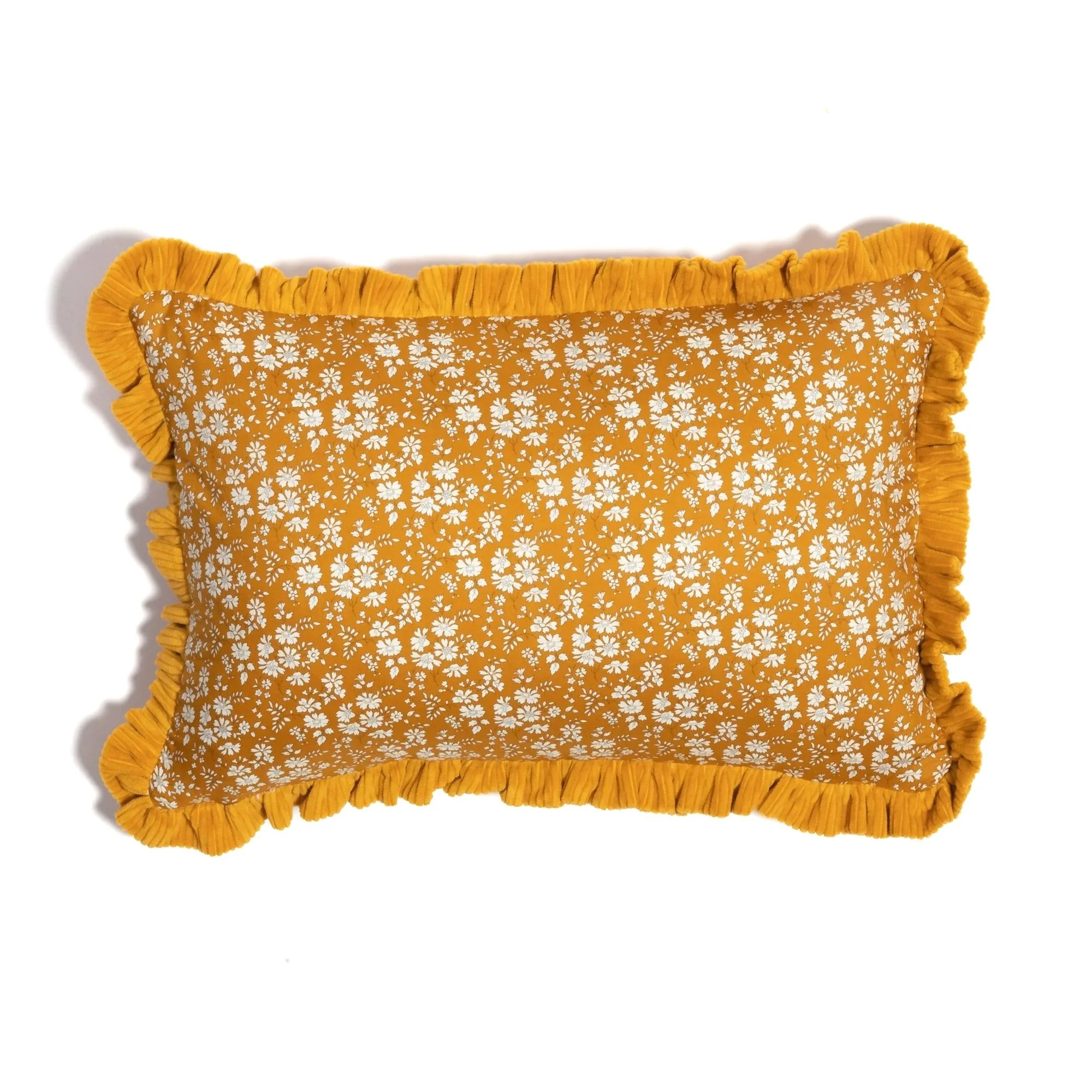 RH_V_PANDH_05OCT25-21.jpg (Copy)