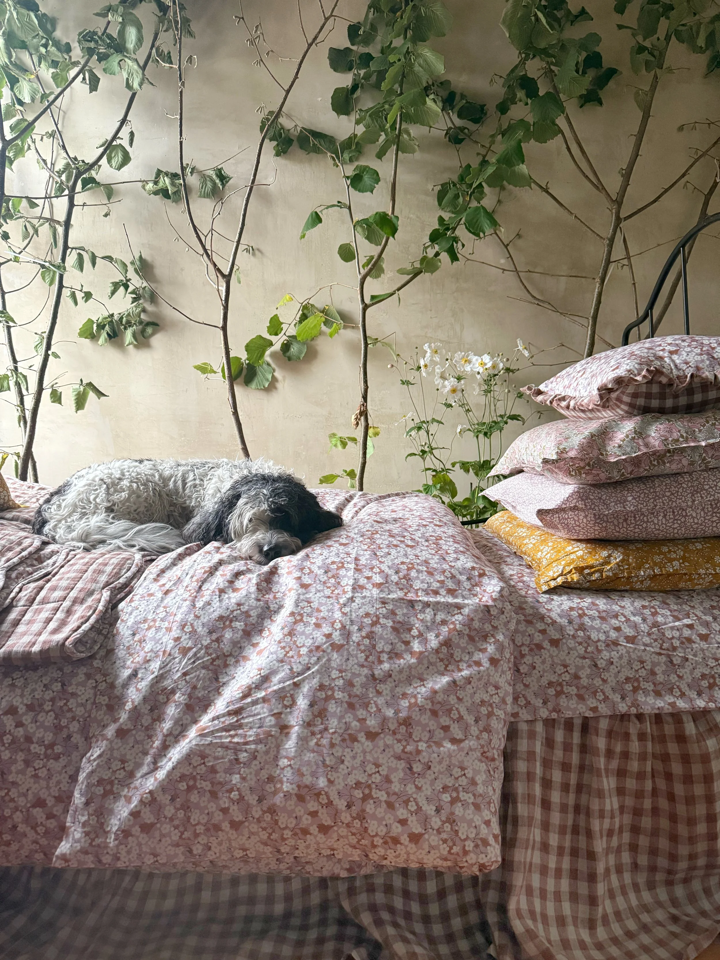 mistiagain.jpeg (Copy)