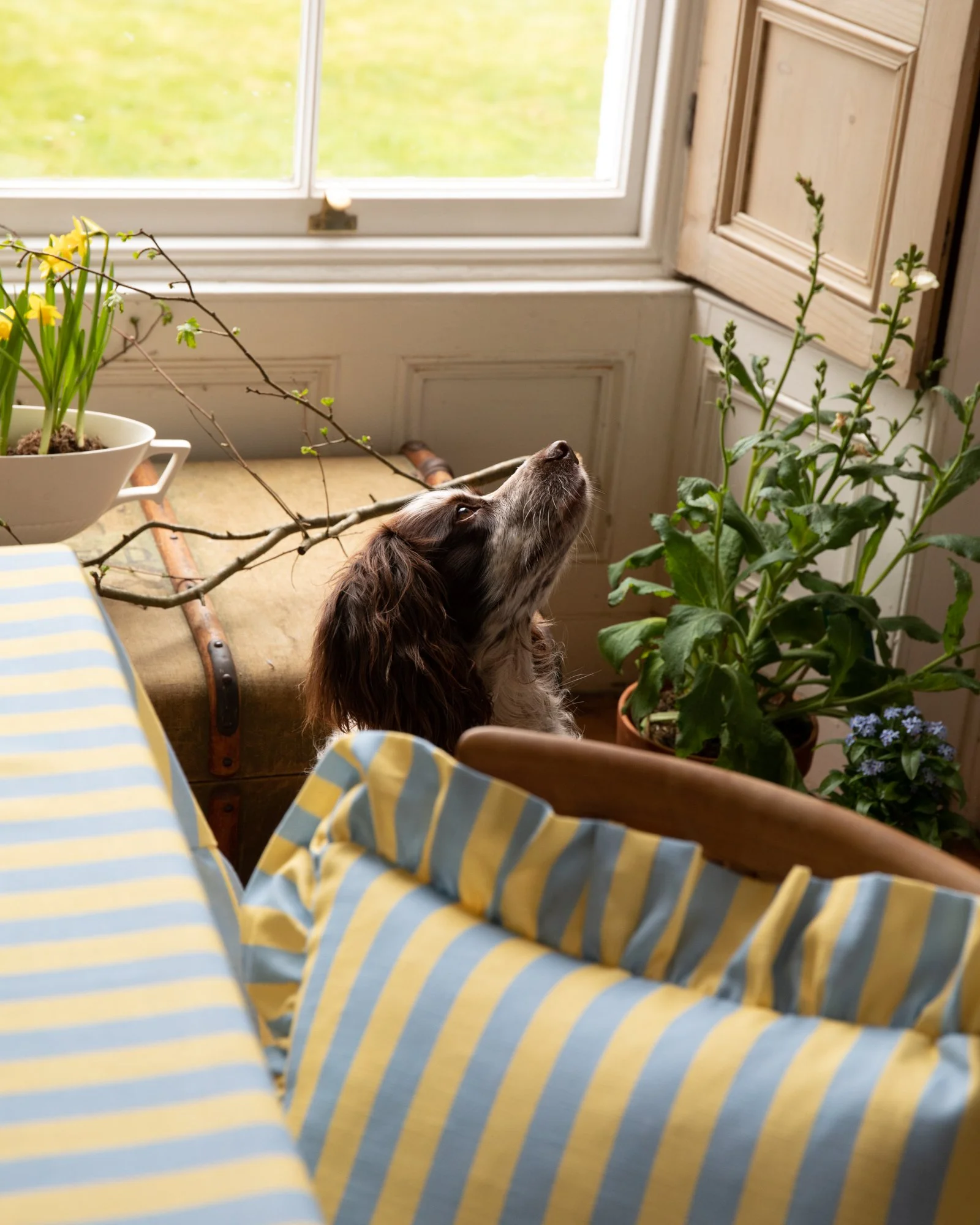 Linen Ruffle Cushion - Trianon