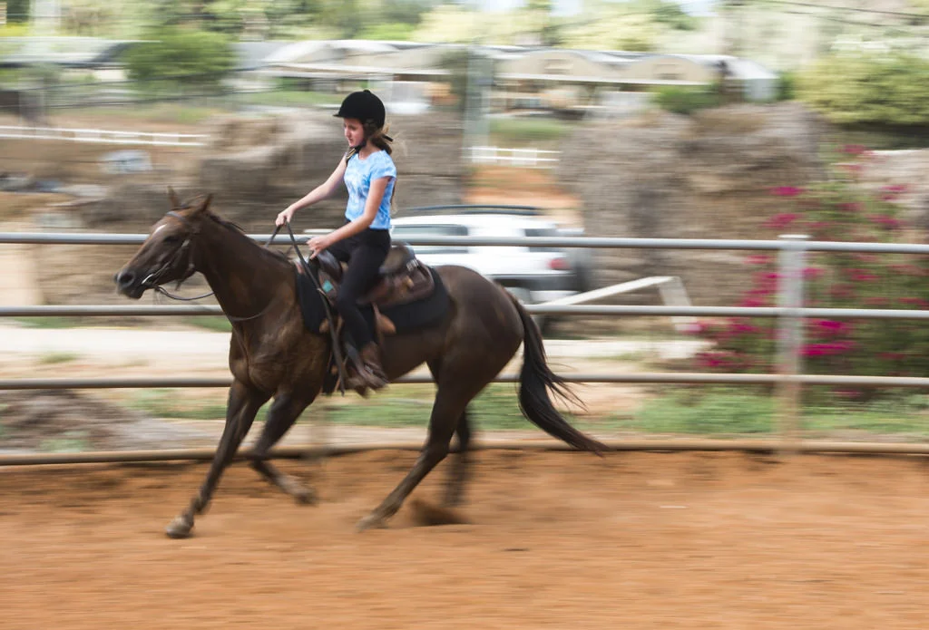סמדר בוק בת מצוה 26-5-2013 לאינטרנט (9).jpg