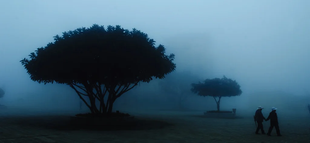 (ts603) a couple walking by trees in the fog, yuangyang, china.jpg