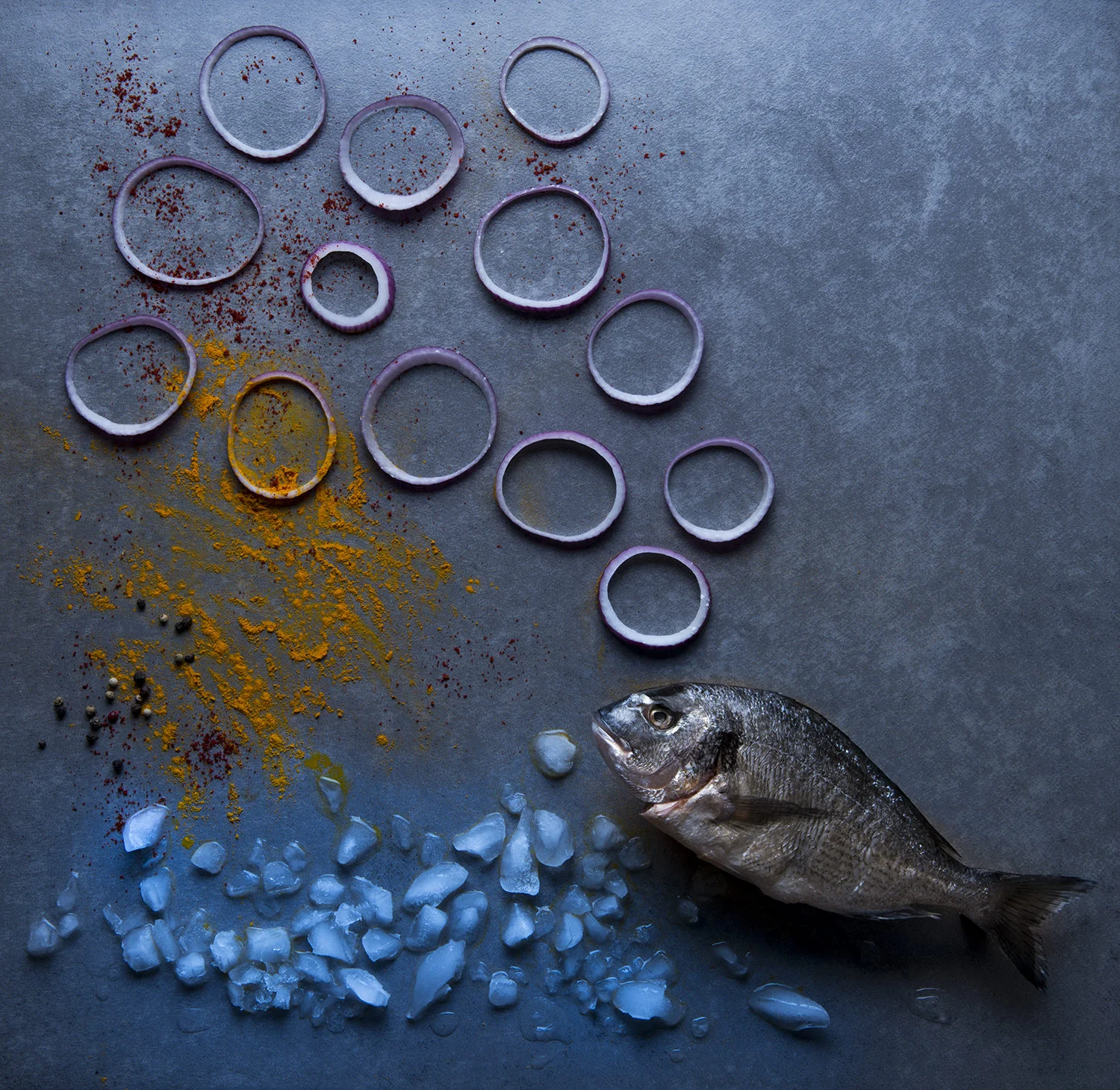 fish dreams 2.jpg