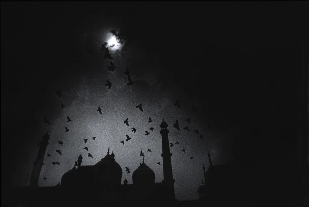 (117) jamma masjid with doves, delhi india.jpg