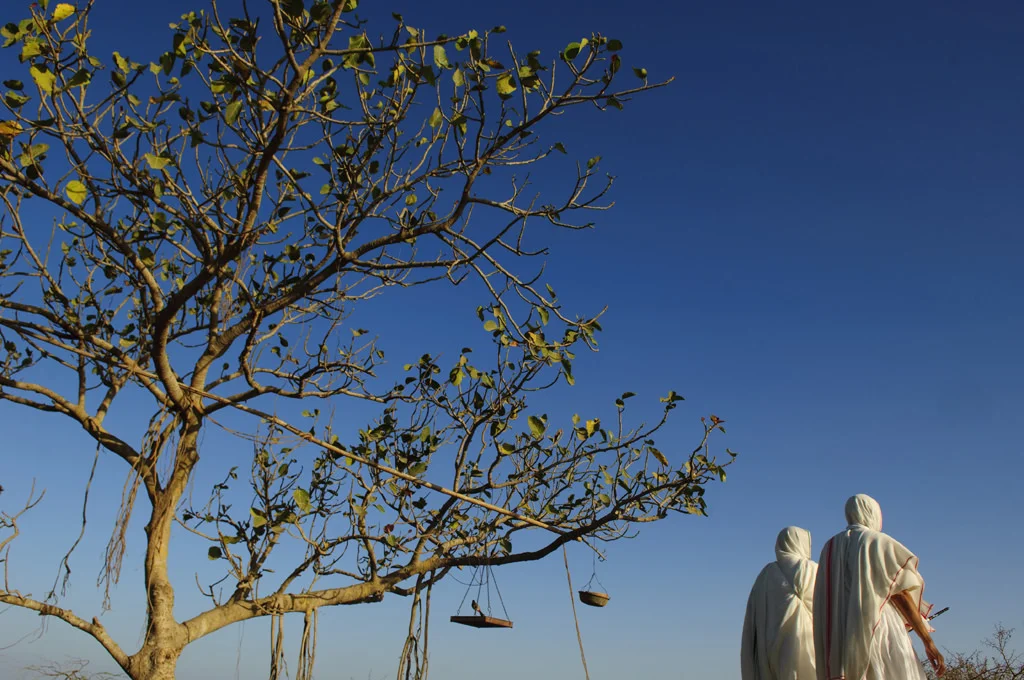 (220) 2 jain pilgrims passing by a tree, shatrunjaya, india.jpg