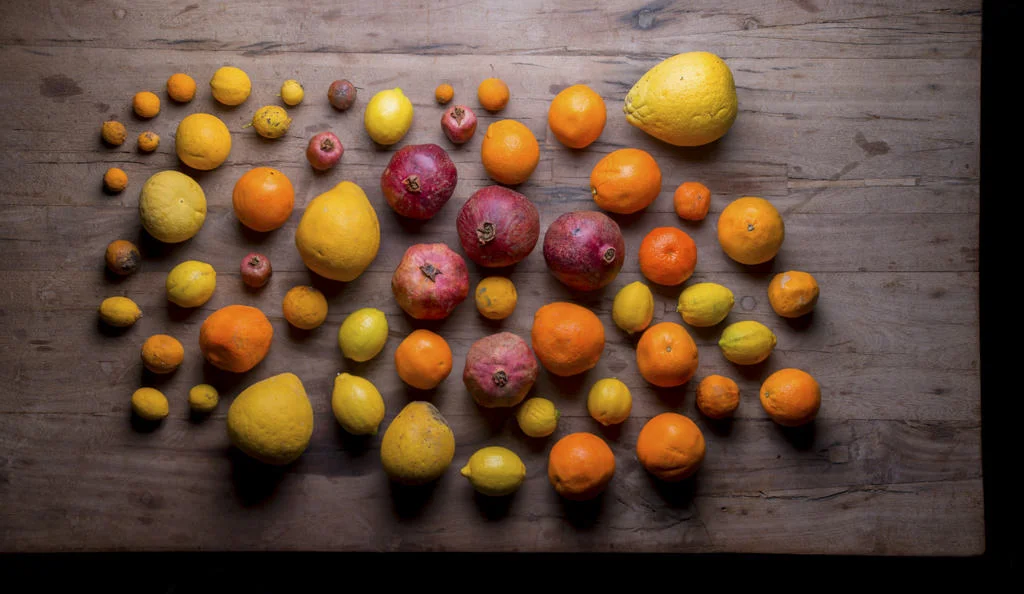 (ts1225) grapefuits on wooden table.jpg