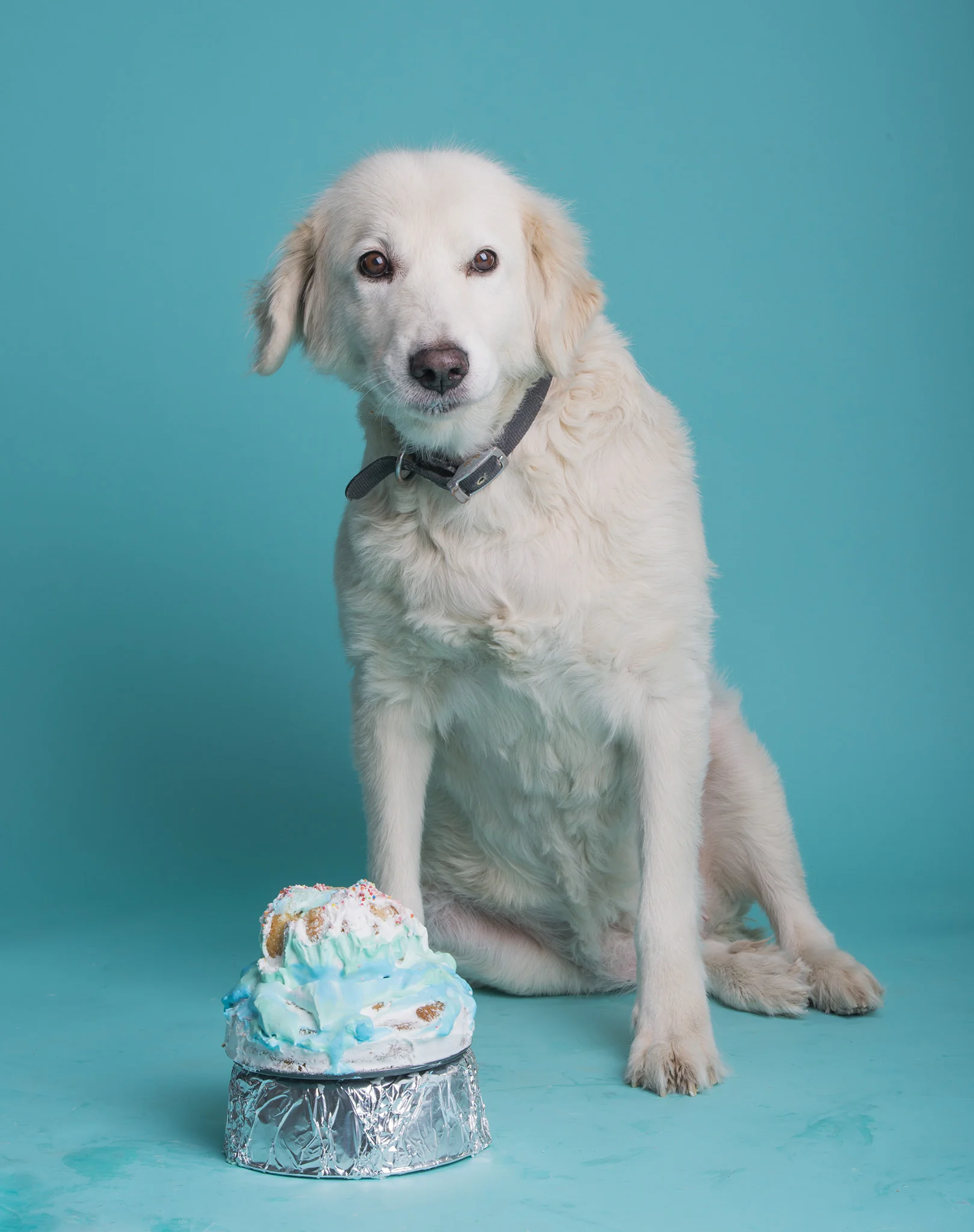 cake smash session_66.jpg