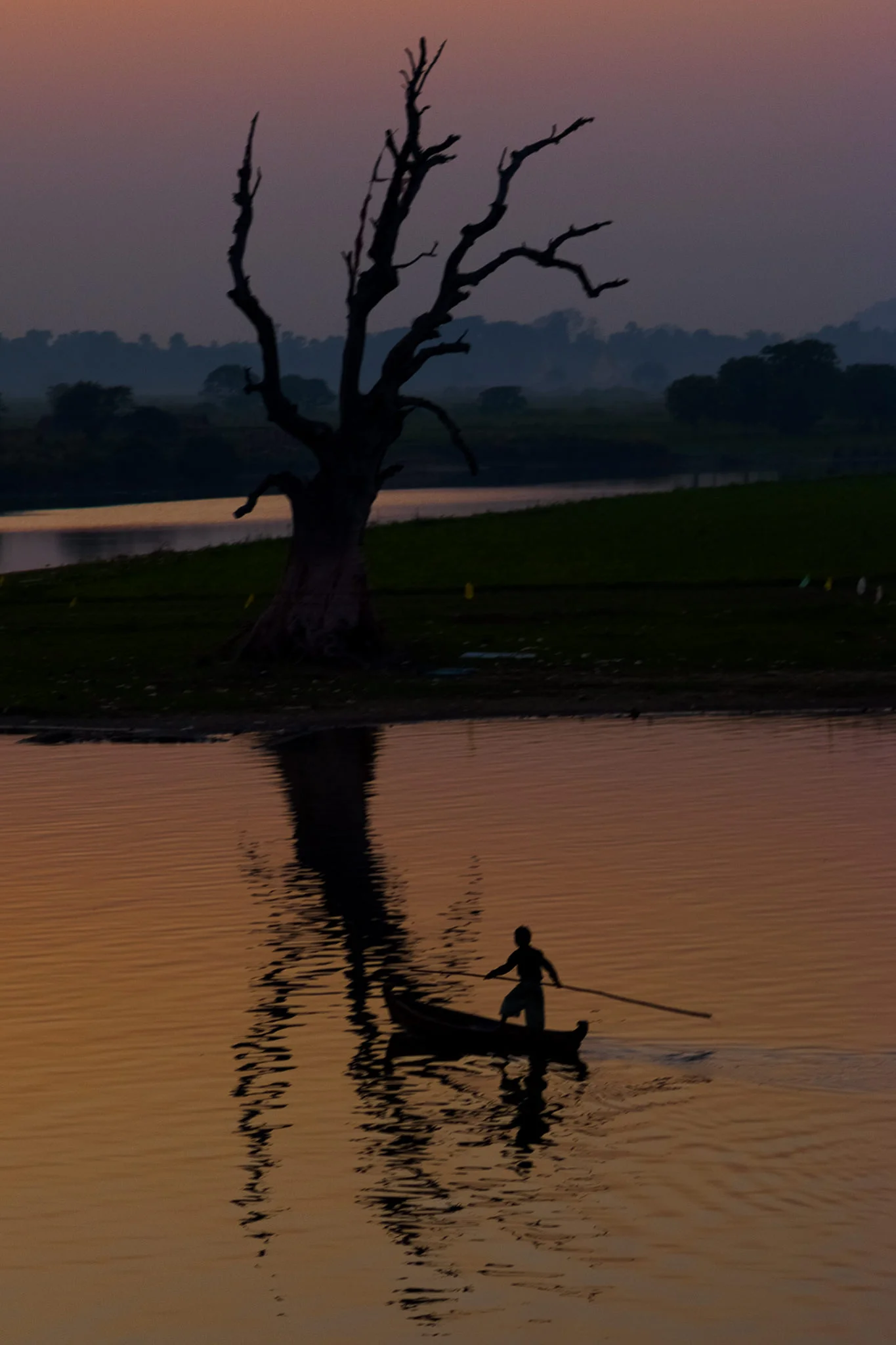 boy in a boat by a tree, myanmar.jpg