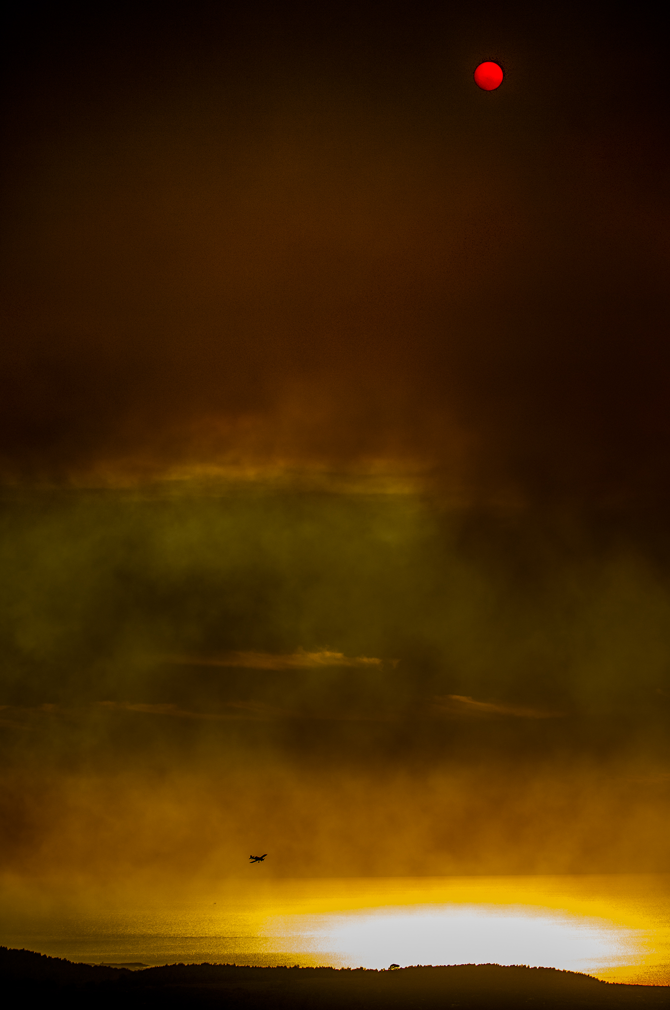 (ts1426) a plane by the sea with red sun.jpg