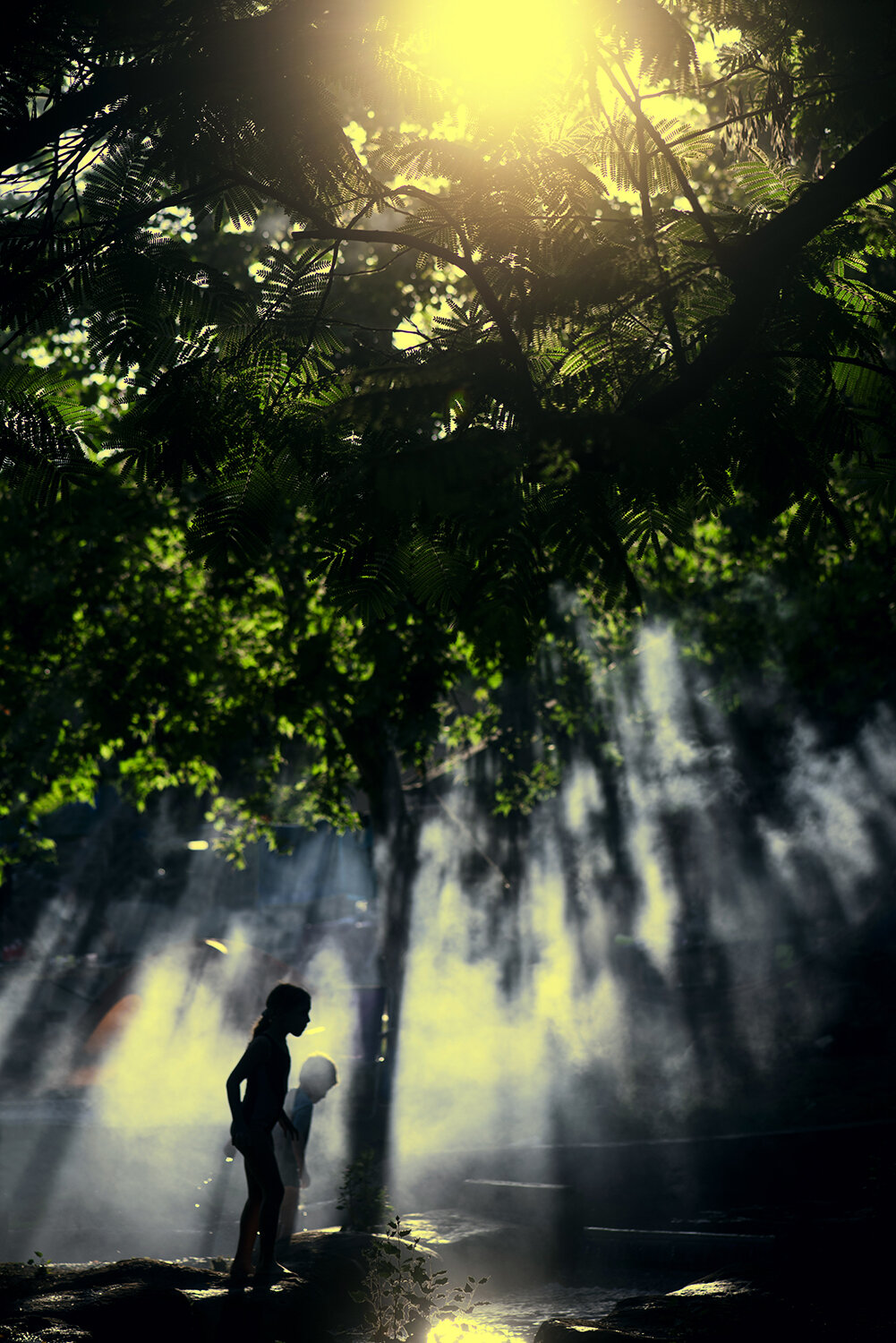 a girl by a stream with fog hurshat tal israel.jpg