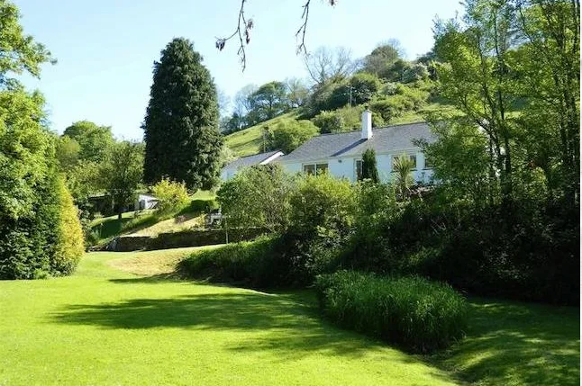 garden.jpg