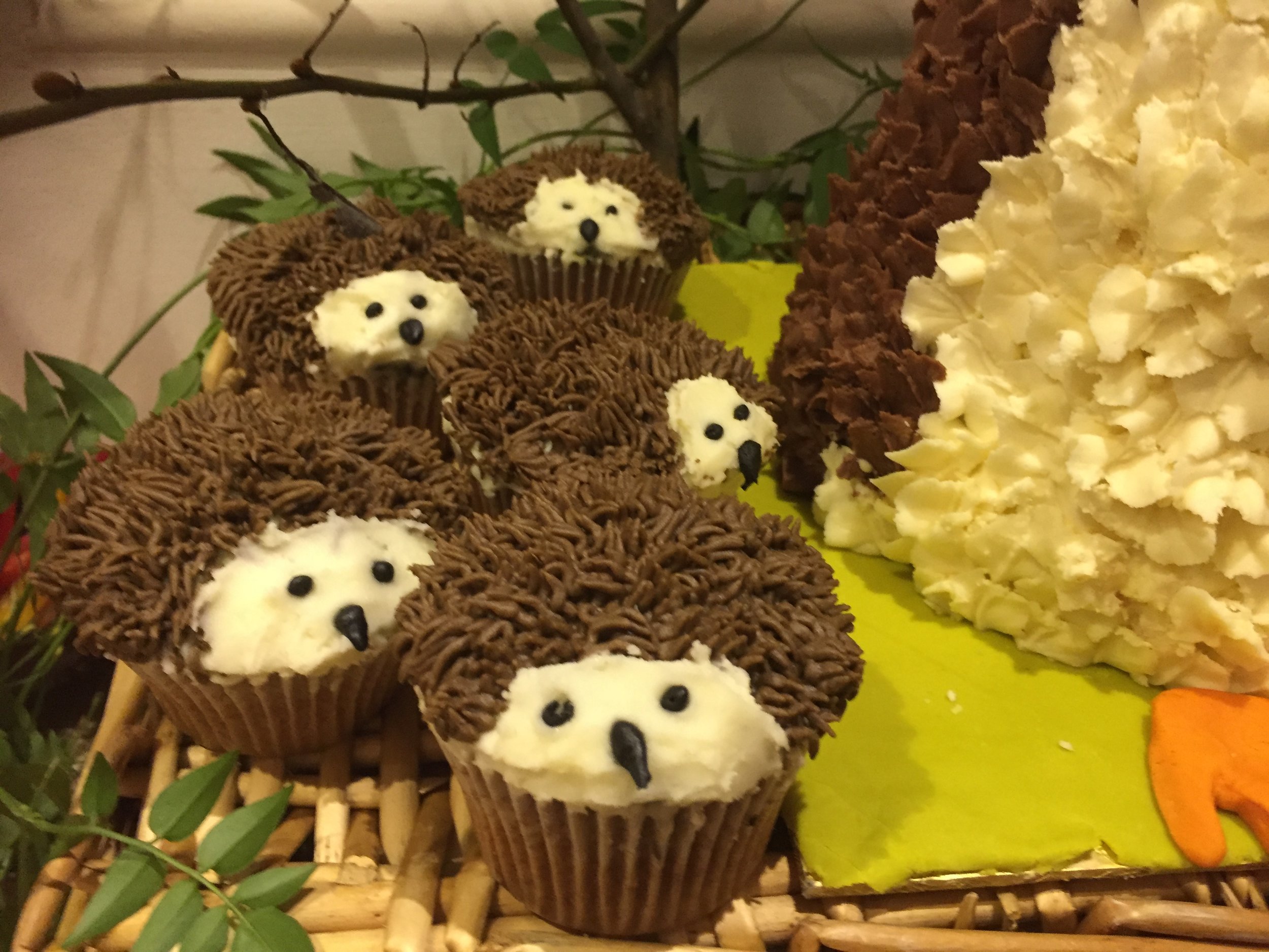 Hedgehog cupcakes.JPG