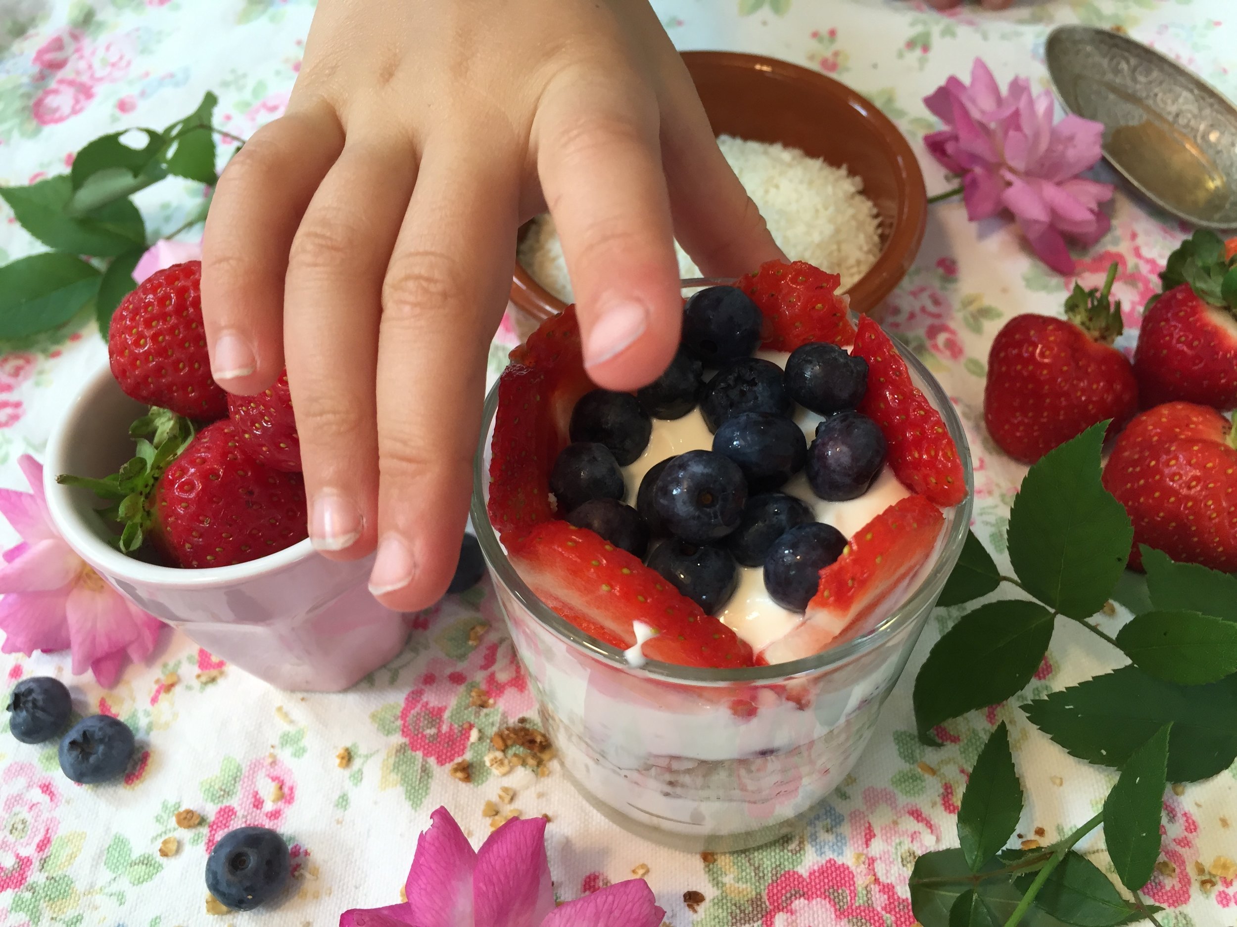 Fruit, yoghurt, granola hand.jpg