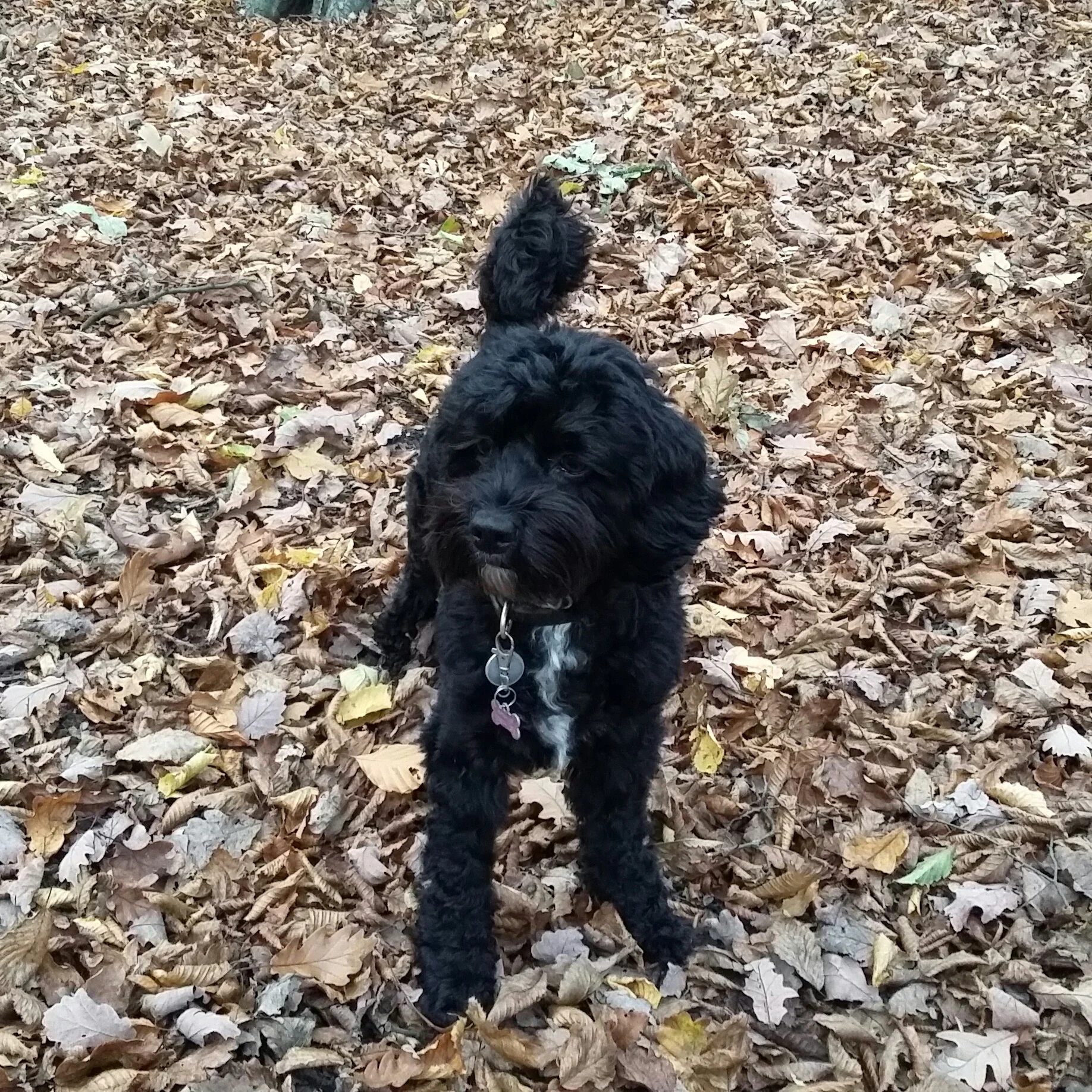20151116_144102-1.jpg
