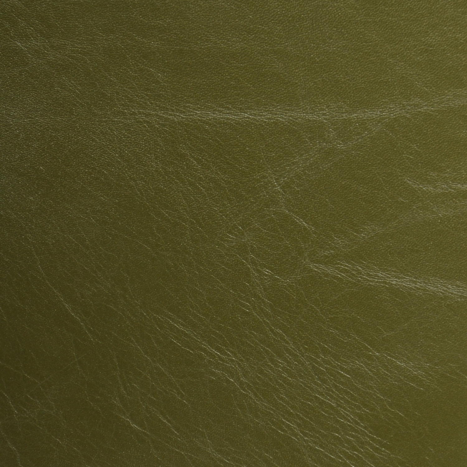 Seaweed Green
