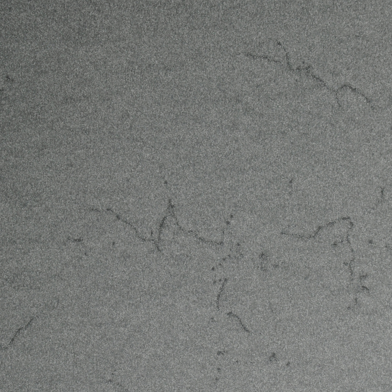 Charcoal