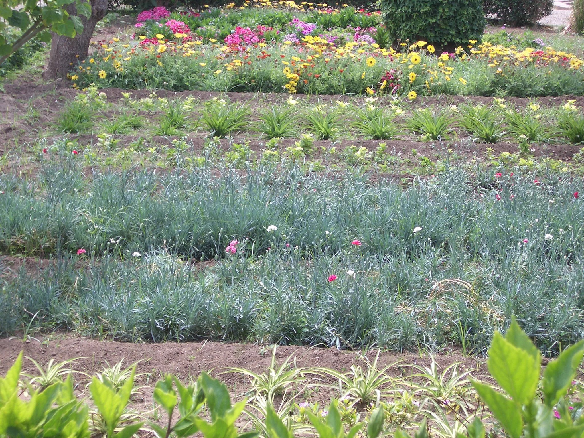 MAPAT Workshop Rabat 2005