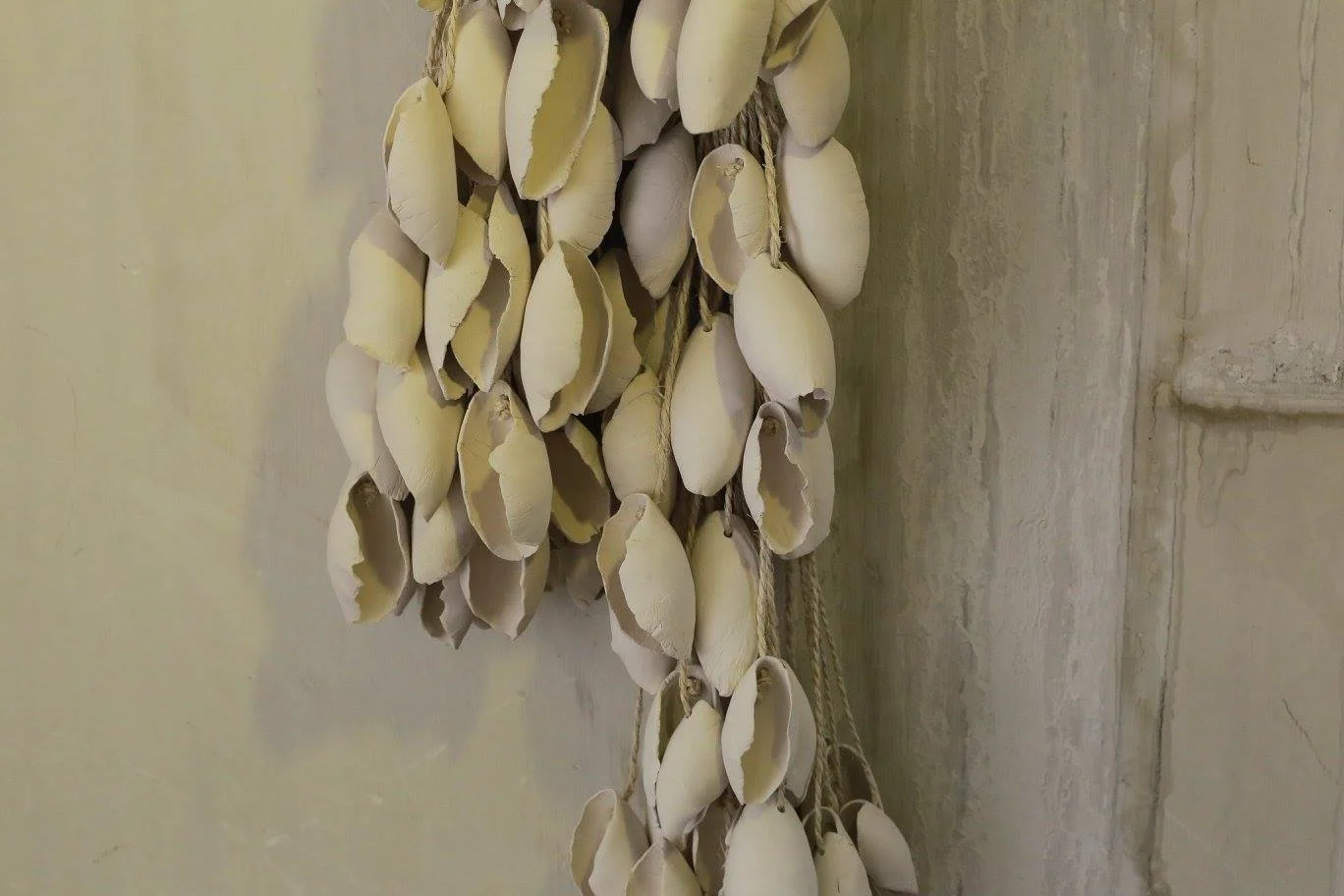 Mille coquilles