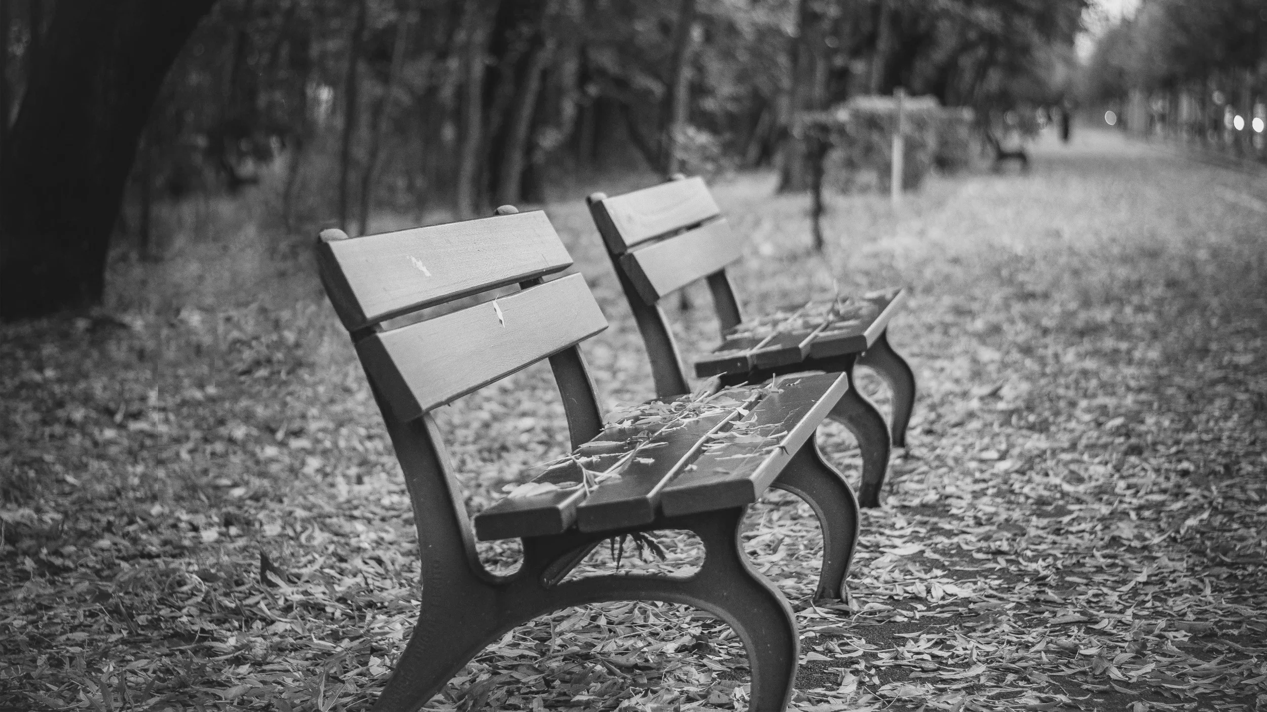 autumn_bench-HD (1).jpg