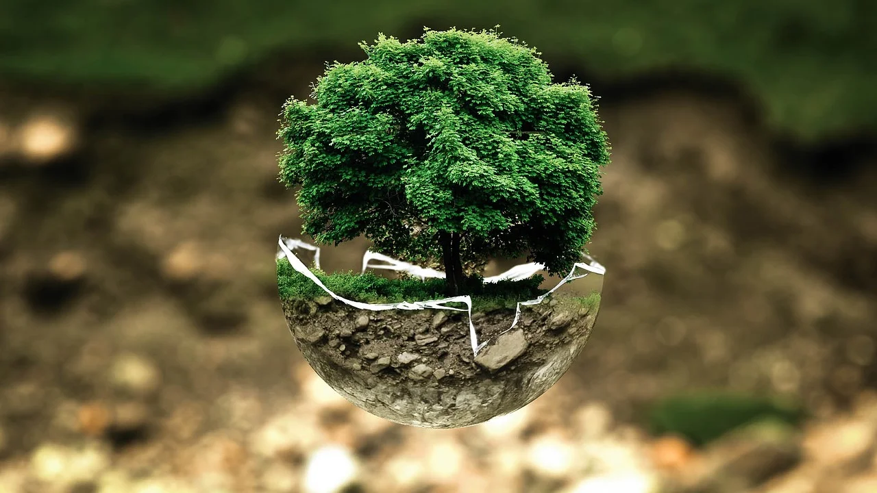 Por cada colgante un árbol crecerá en tu nombre.